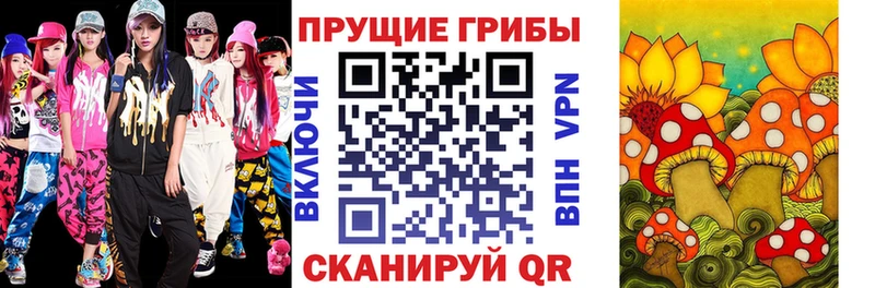 omg вход  Зеленокумск  Галлюциногенные грибы GOLDEN TEACHER 